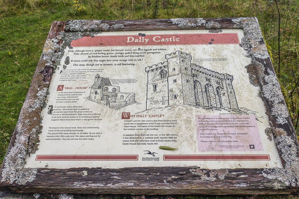 Dally Castle Dally Castle